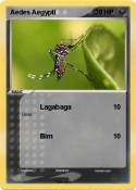 Aedes Aegypti