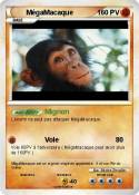 MégaMacaque