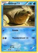 tartaruga 1.0
