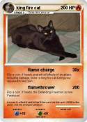 king fire cat