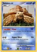 Tortoise