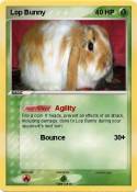 Lop Bunny