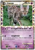 Chaseau