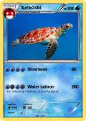 Turtle3404