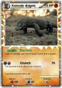 Komodo dragon