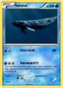 Narwhal
