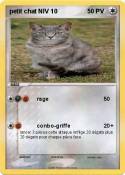 petit chat NIV
