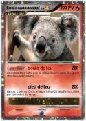 koalaaaaaaaaaa!