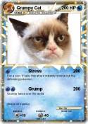 Grumpy Cat