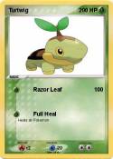 Turtwig