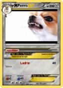 Perro