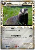 badger