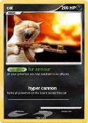 cat