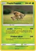 Playful Puppies