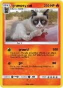 grumpey cat