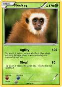 Monkey