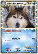 chien de traîne