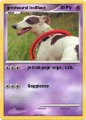greyhound