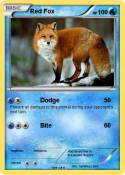 Red Fox