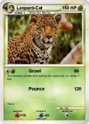 Leopard-Cat