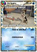 Chi Spatra