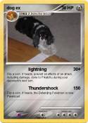 dog ex