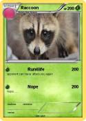 Raccoon