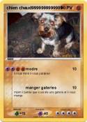 chien chaud9999
