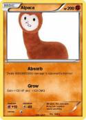 Alpaca