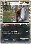 Chat con