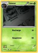 bowser