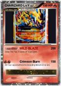 CHARIZARD Lv.Y