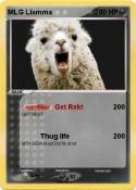 MLG Llamma