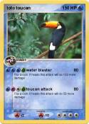 toto toucan