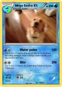 Mega Sasha EX