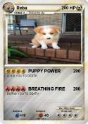 Reba