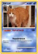 TOP CAT