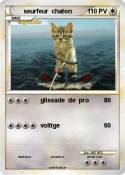 seurfeur chaton