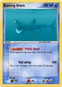 Basking Shark