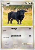 bull