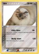 Otto