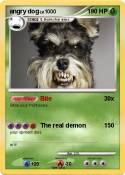 angry dog