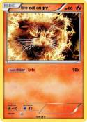 fire cat angry