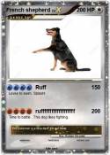 French shepherd
