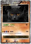 M kitty cat