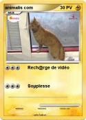 animalis com
