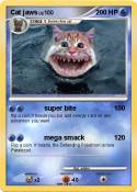 Cat jaws