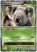 koala kid