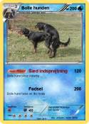 Bolle hunden