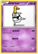 Karate Duck